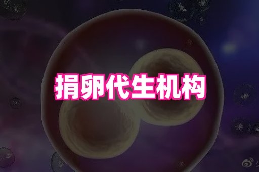 vj——代生服务——代生咨询
