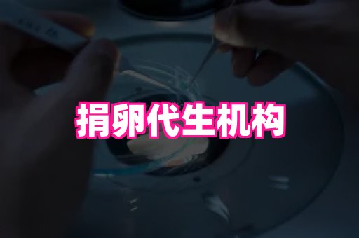 【rancilio】代怀选性别生男孩·国内三代代孕公司